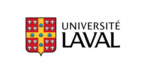 Université Laval - Faculté des sciences de l’éducation (FSÉ) - Faire une recherche, ça s’apprend !